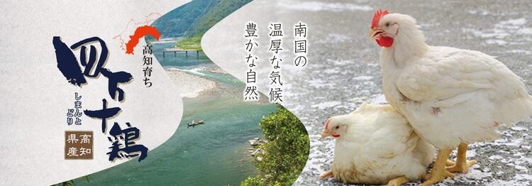 南国の温厚な気候、豊かな自然